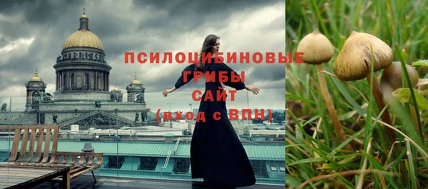 не бодяженный Абаза