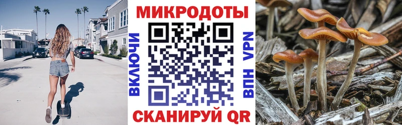 Галлюциногенные грибы мицелий  Тутаев 